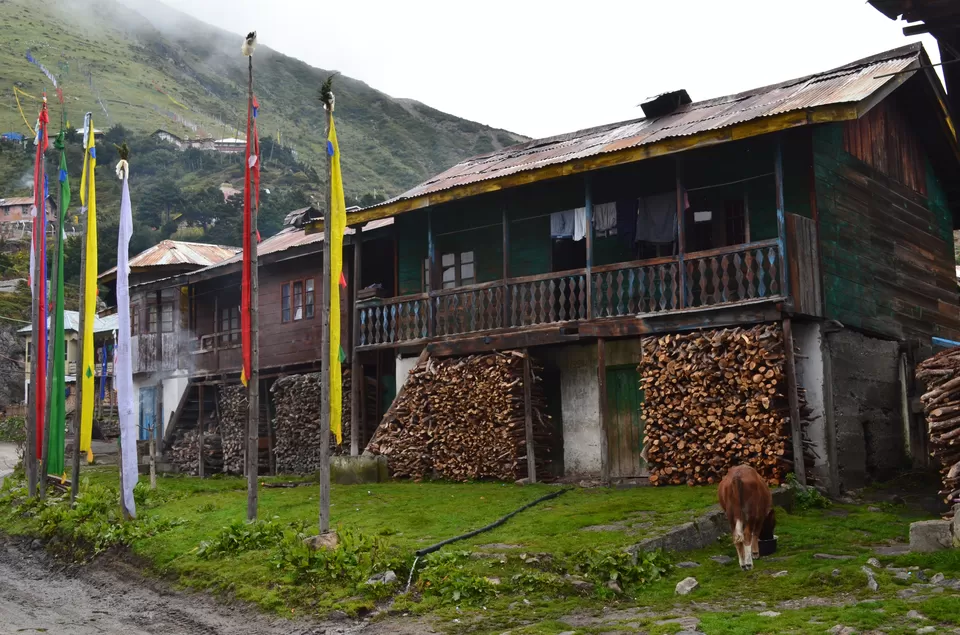 Photo of Lachung, Sikkim, India by Question Mark