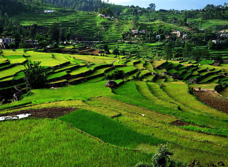 Photo of 10 Most Interesting Places To Visit In Uttarakhand In Summer 7/10 by Narendra Kumar