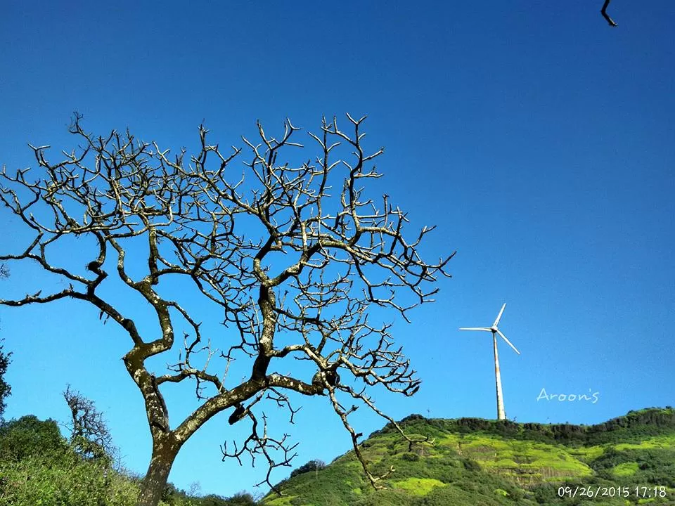 Photo of Wandre Khind, Wandre, Maharashtra, India by Arun Dash