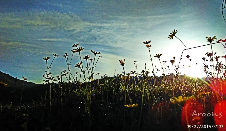 Photo of Padarwadi, Maharashtra, India by Arun Dash