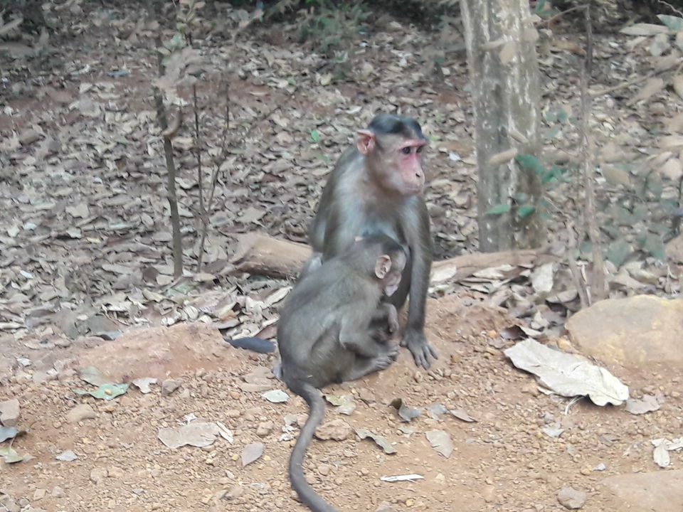 Photo of Matheran Trip..... 5/17 by Gireesh Gangadharan (To Wander Is To Be Alive)