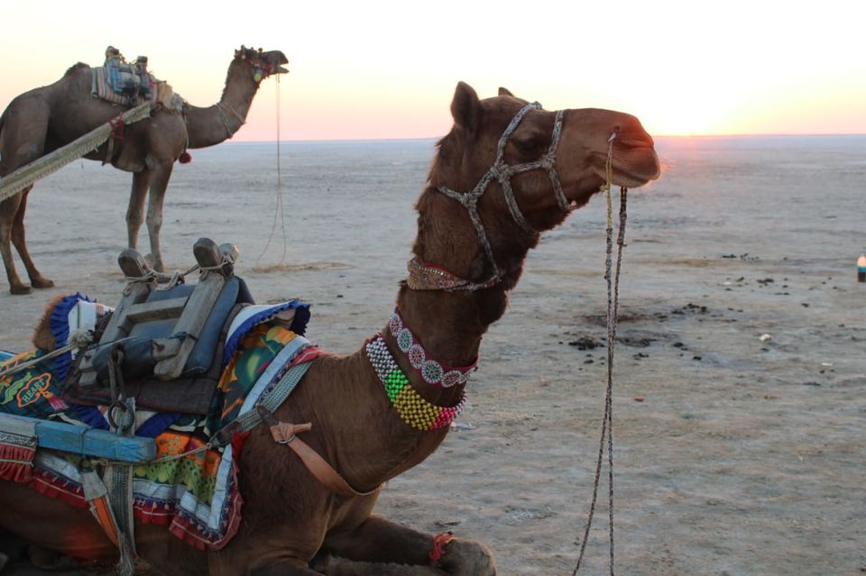 Photo of White Rann, Kutch, Gujarat, India by Gireesh Gangadharan
