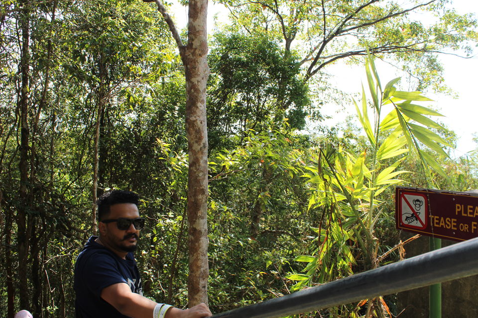 Photo of Langkawi - The Jewel of Kedah (Guide to travel on a budget from Mumbai) 3/28 by Gireesh Gangadharan (To Wander Is To Be Alive)
