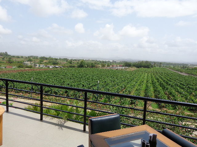 Photo of A journey through Indian Wine revolution 4/9 by Dhanya Jose