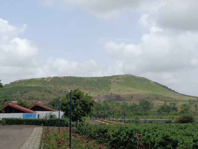 Photo of A journey through Indian Wine revolution 6/9 by Dhanya Jose