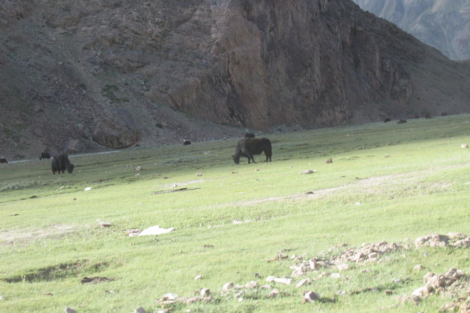 Photo of Spiti Valley Bike Trip by Prasoon Awasthi