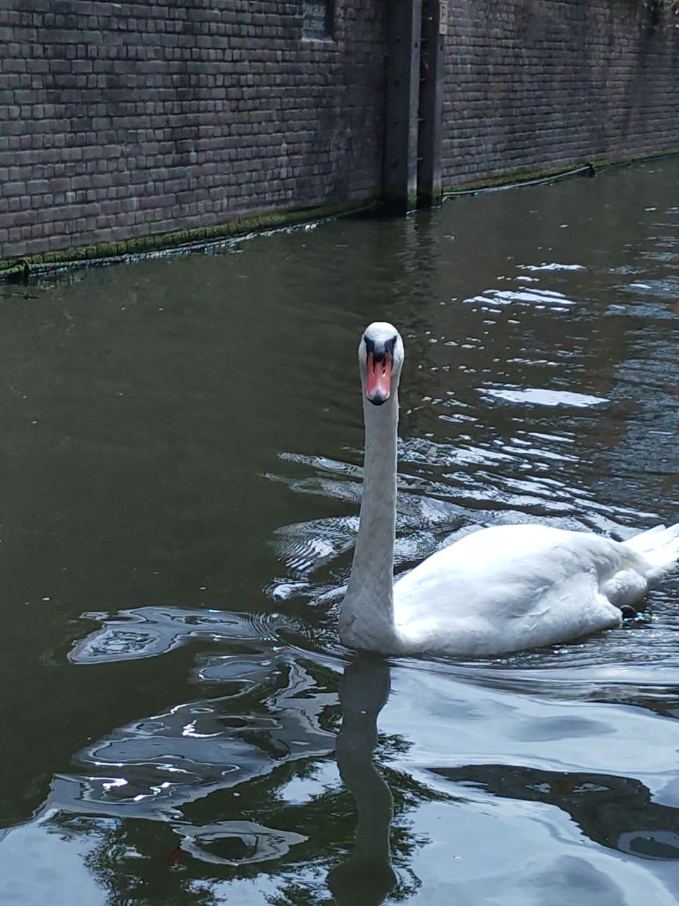 Photo of A weekend trip to Amsterdam!! by Prajakta Naval
