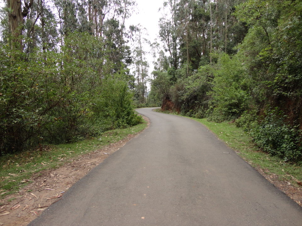 Photo of Ooty - Solitude in the Queen of Hills by Munjal Desai