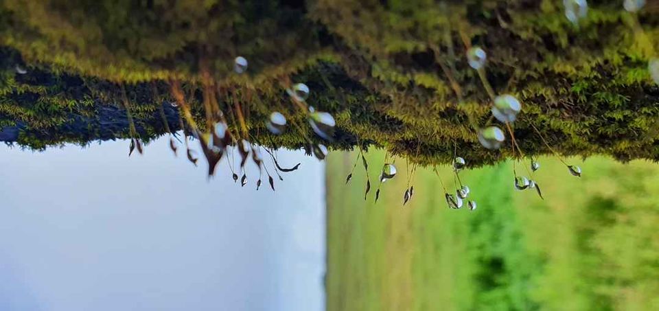 Photo of Bamnoli Lake, Bamnoli, Maharashtra, India by Casual Explorer
