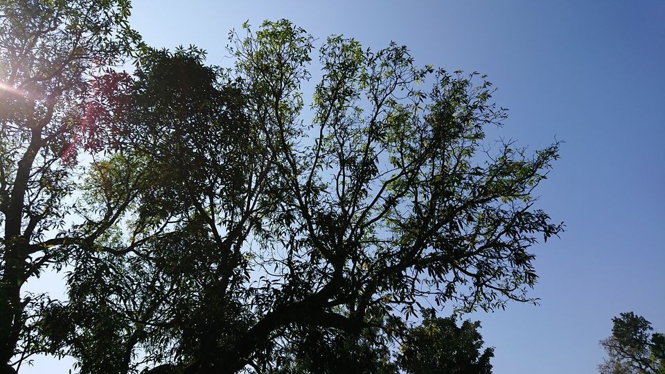 Photo of Eco point Hill Saputara, Saputara, Gujarat, India by Casual Explorer