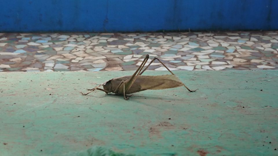Photo of Saputara museum, Saputara, Gujarat, India by Casual Explorer