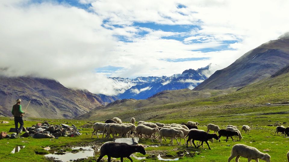 Photo of An Engineering Student on a Journey to Spiti Valley 2/17 by Mayank