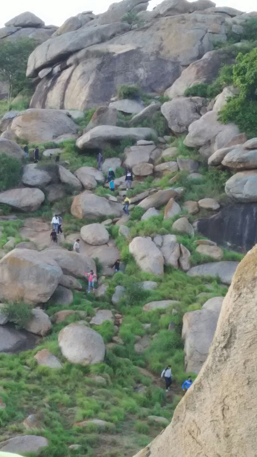 Photo of Night trek to Kunti Betta 3/3 by Swagatika Sarangi