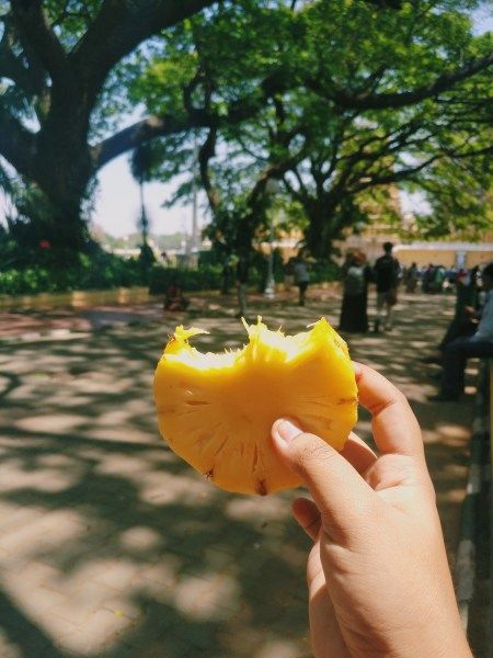 Photo of First Solo Trip In India-Mysore 5/22 by Swagatika Sarangi