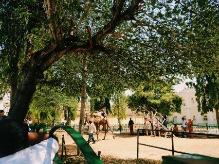 Photo of First Solo Trip In India-Mysore 9/22 by Swagatika Sarangi