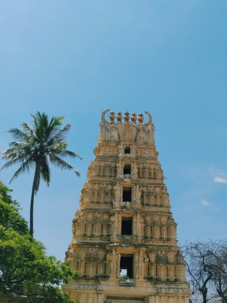 Photo of First Solo Trip In India-Mysore 10/22 by Swagatika Sarangi