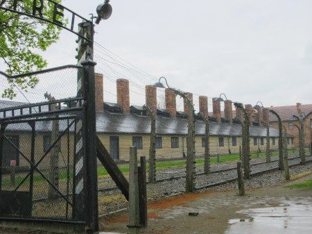 Photo of Kraków, Poland by Swagatika Sarangi
