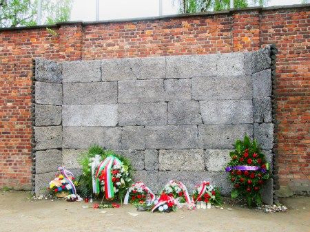 Photo of A Trip To The Place Of Mass Murder- Auschwitz by Swagatika Sarangi