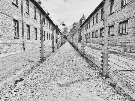 Photo of A Trip To The Place Of Mass Murder- Auschwitz by Swagatika Sarangi