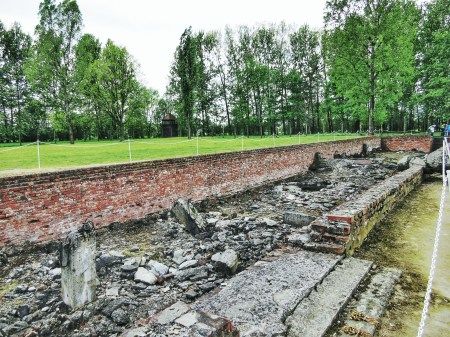 Photo of A Trip To The Place Of Mass Murder- Auschwitz by Swagatika Sarangi
