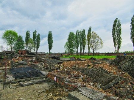 Photo of A Trip To The Place Of Mass Murder- Auschwitz by Swagatika Sarangi