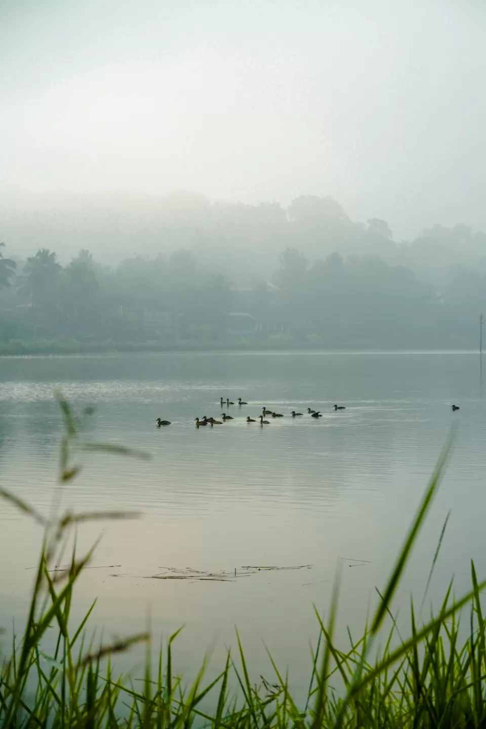 Photo of Curtorim by Sarthak naik