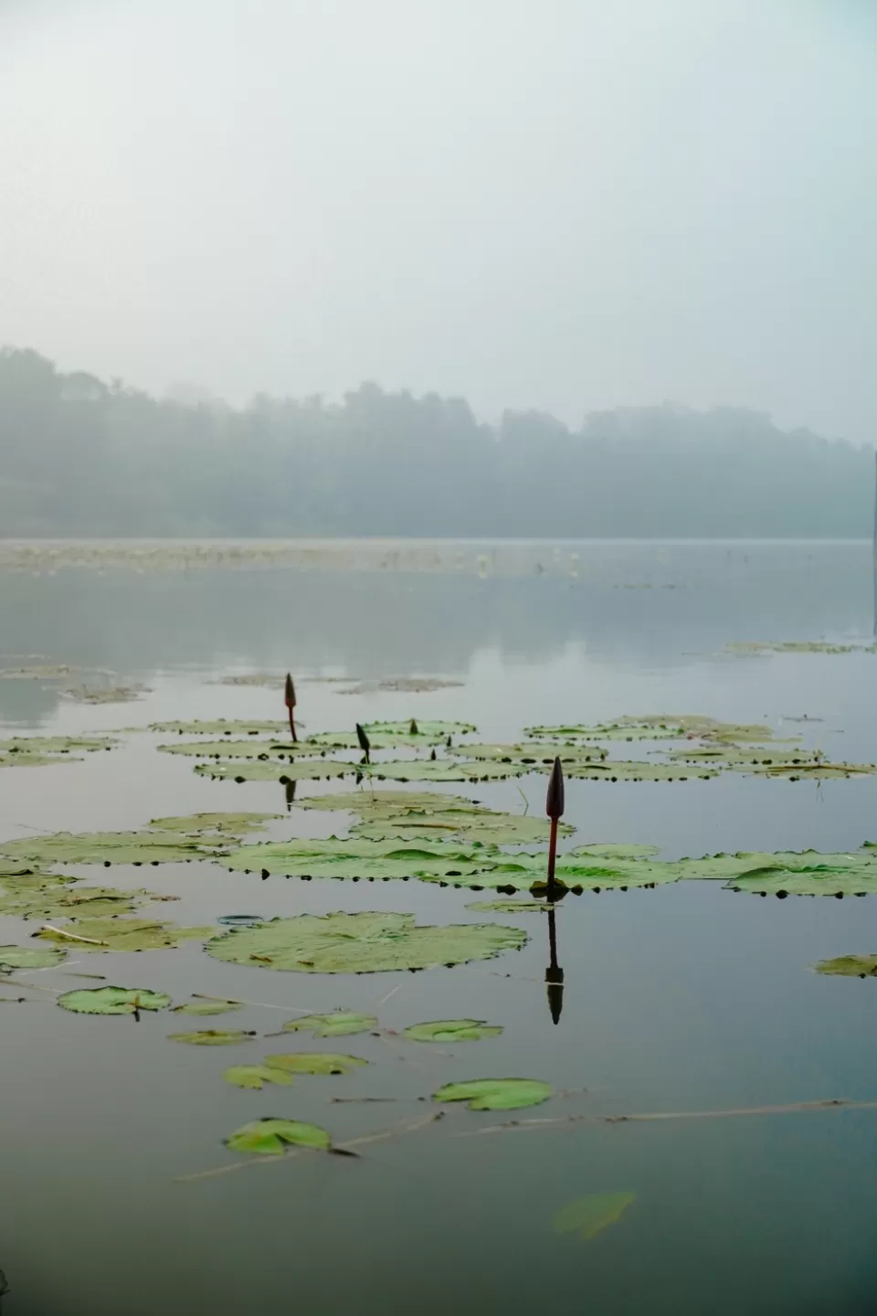 Photo of Curtorim by Sarthak naik
