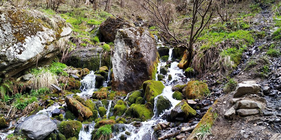 Photo of Kheerganga - A trek to remember !! #MemoryLane 12/19 by Shivani Chaurasia