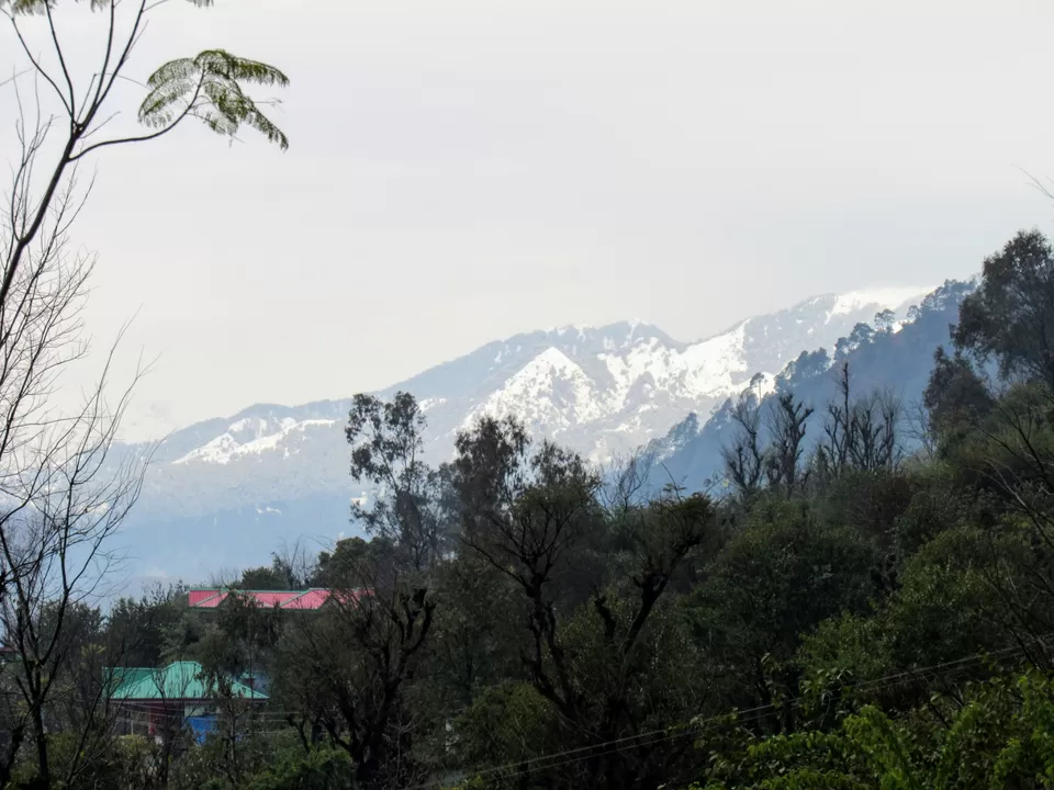 Photo of The world is a book and those who do not travel read only one page.” – A Trip to Barot. by Raj Ail