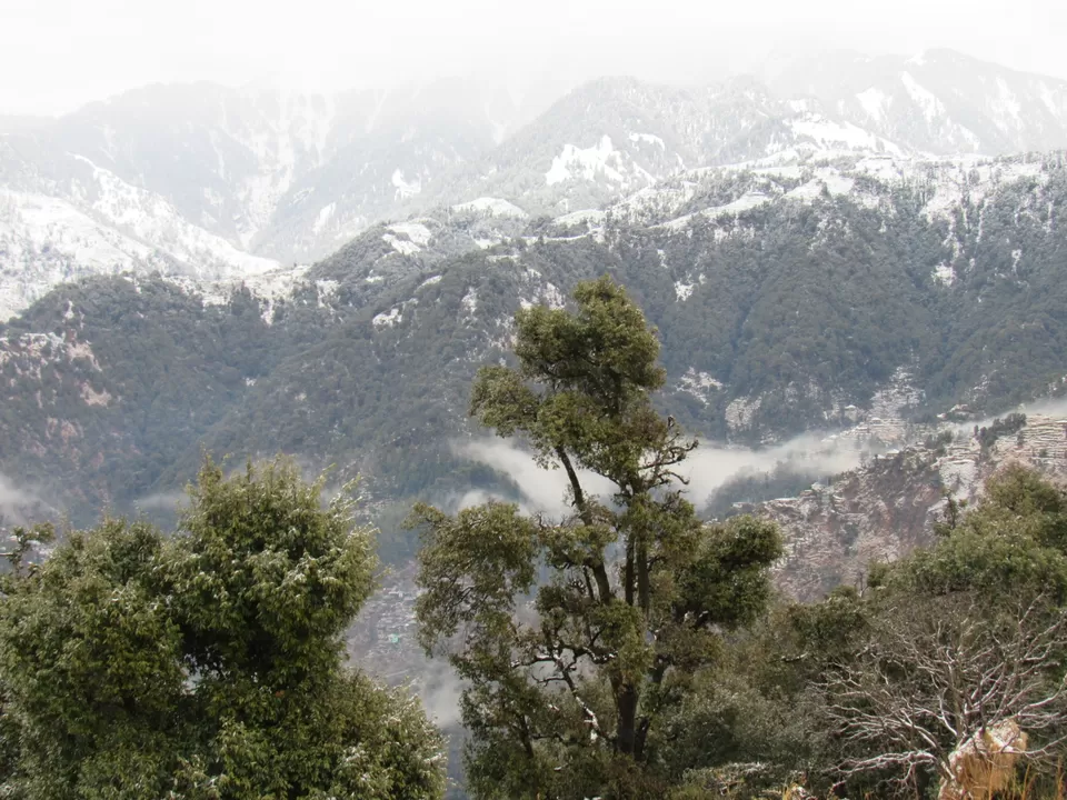 Photo of The world is a book and those who do not travel read only one page.” – A Trip to Barot. by Raj Ail