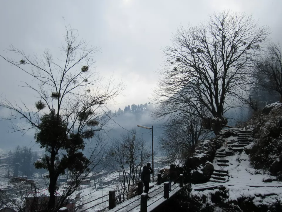 Photo of The world is a book and those who do not travel read only one page.” – A Trip to Barot. by Raj Ail