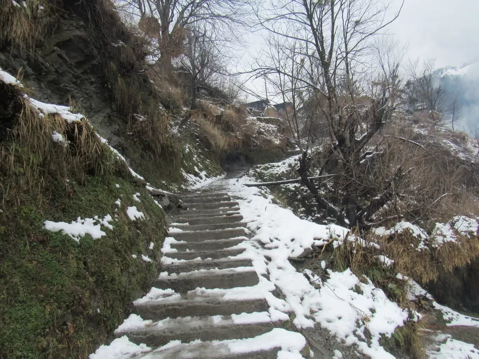 Photo of The world is a book and those who do not travel read only one page.” – A Trip to Barot. by Raj Ail