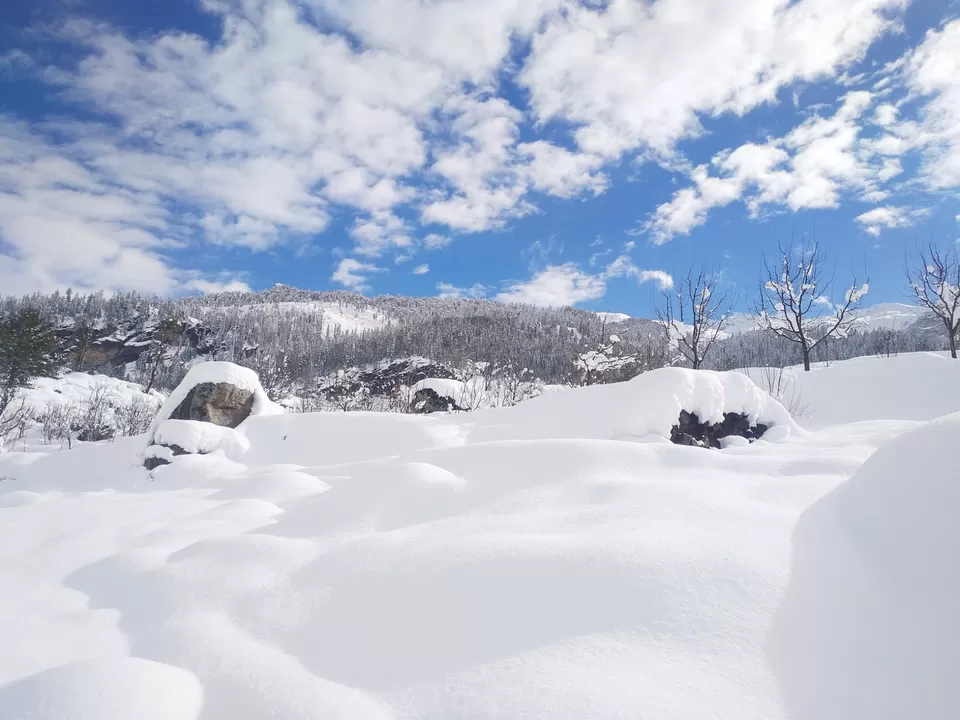 Photo of #snow #hiking #trails by rahul thakur 