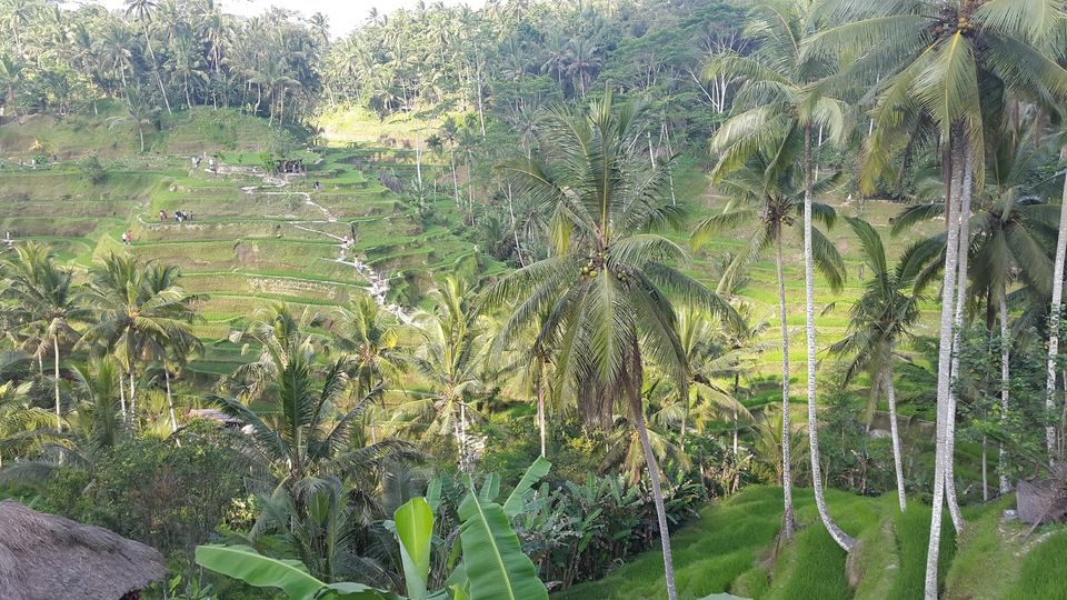 Photo of My Travel Diary - Bali 13/13 by Sanjeeb Patel