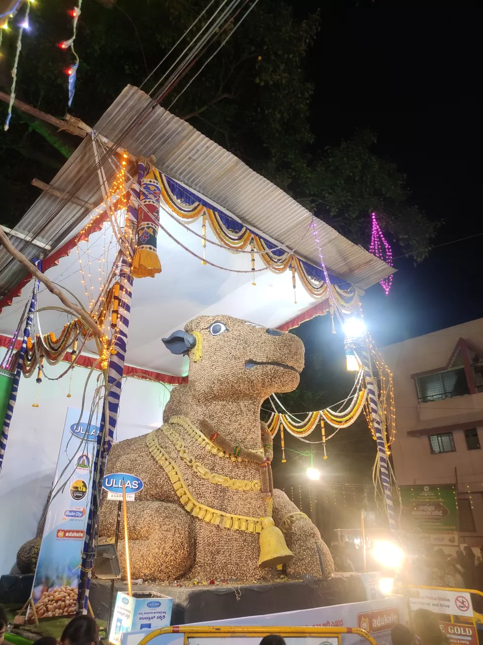 Photo of This place they celebrate Groundnut Festival by Ananya R