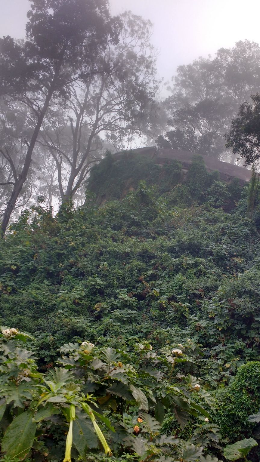 Photo of Nandi Hills Sunrise View Point, Nandi Hills, Karnataka, India by santhosh chandra