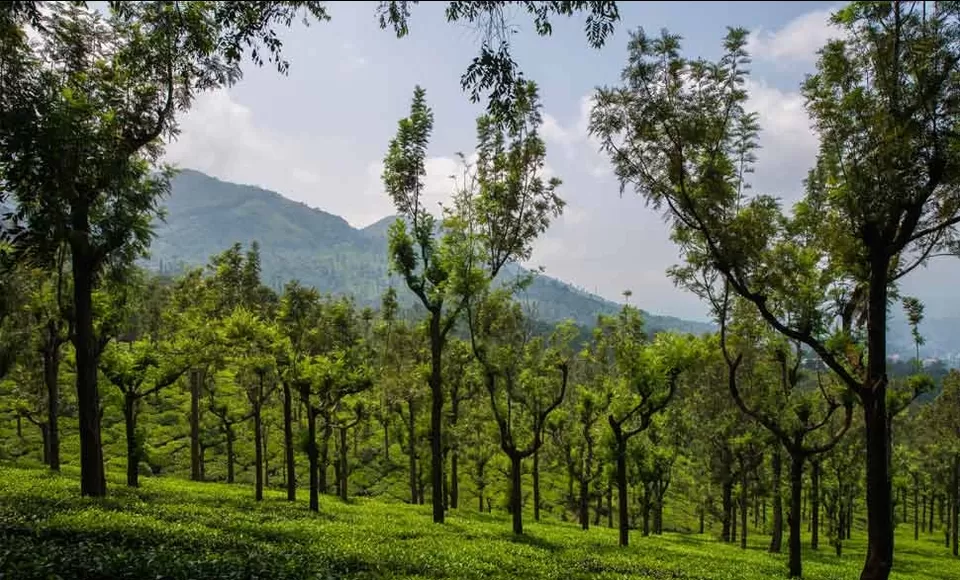 Photo of 12 Best Places to Visit in India: Month-by-Month Travel Calendar by Milind Prajapati