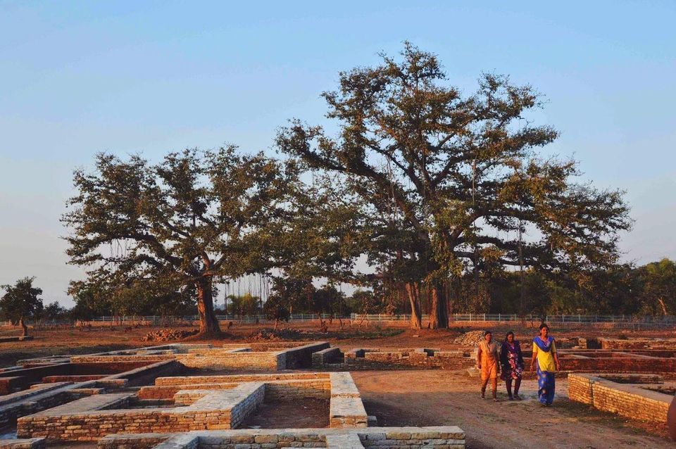 Photo of लक्ष्मण मंदिर by Milind Prajapati