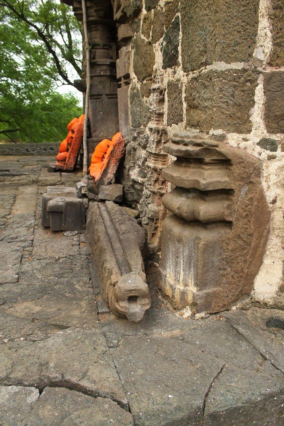 Photo of वाघली by Milind Prajapati