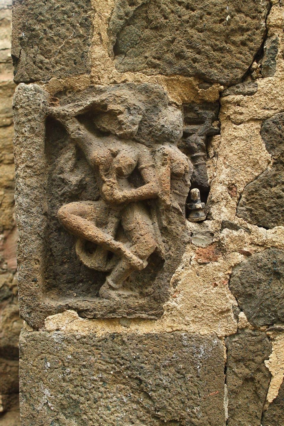 Photo of वाघली by Milind Prajapati