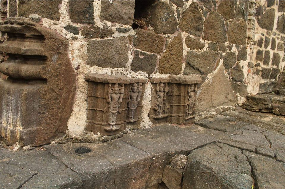 Photo of वाघली by Milind Prajapati