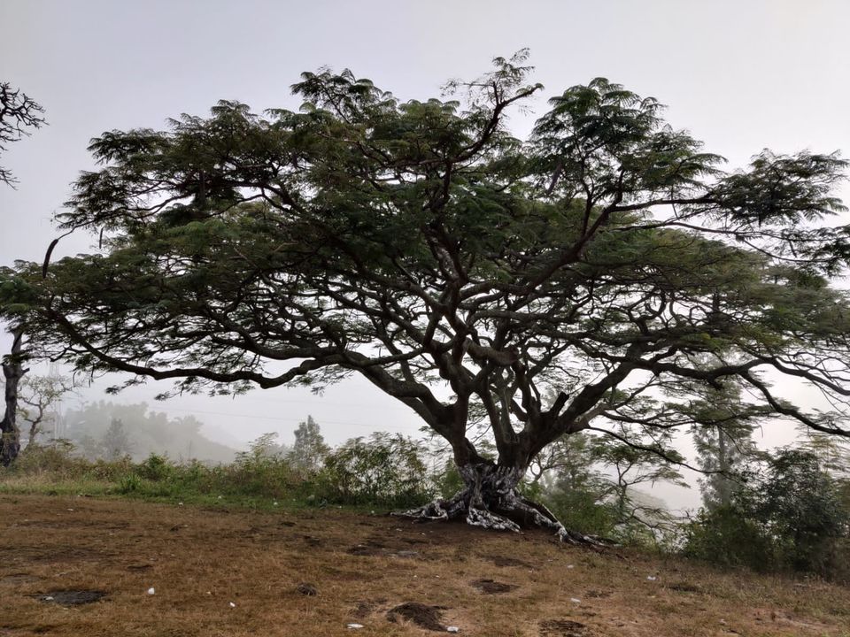 Photo of Araku Valley, Andhra Pradesh, India by Nitin Kapoor
