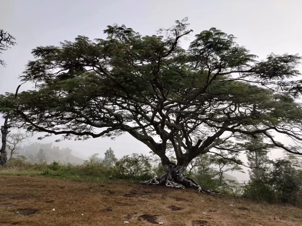 Photo of Araku Valley, Andhra Pradesh, India by Nitin Kapoor