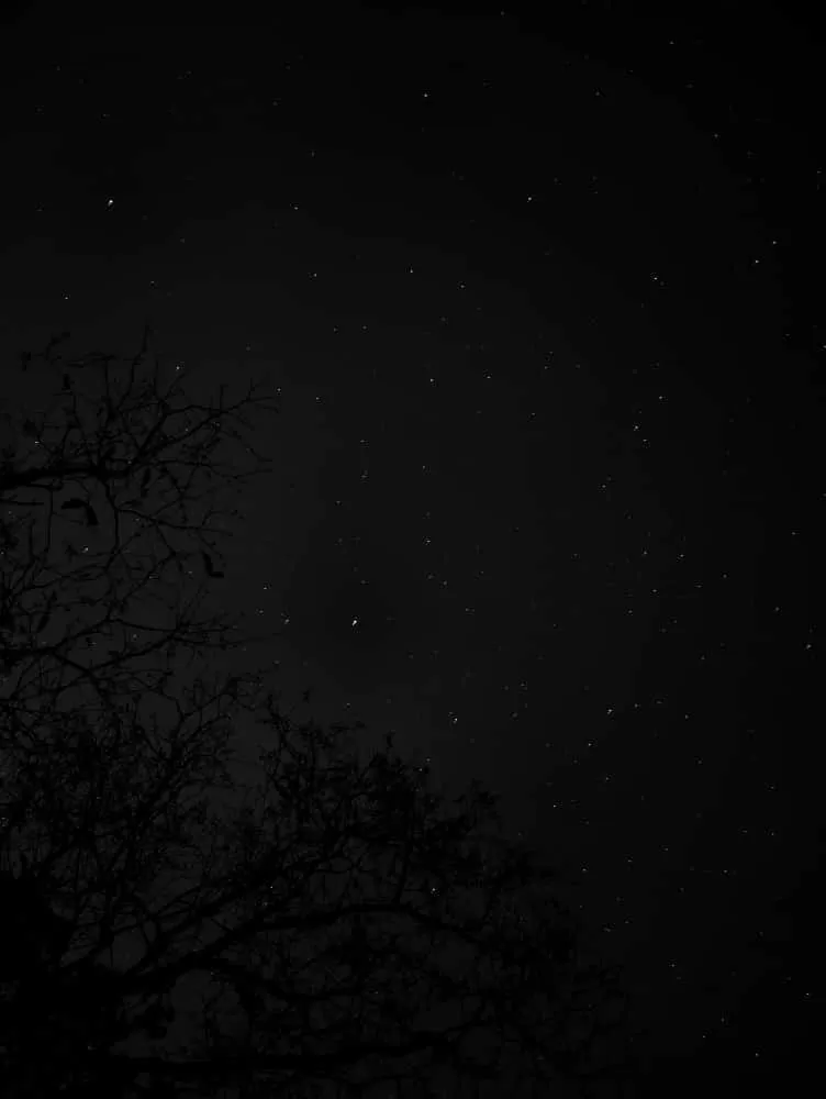 Photo of Trek to Prabhalmachi by Neeva Phatarphekar