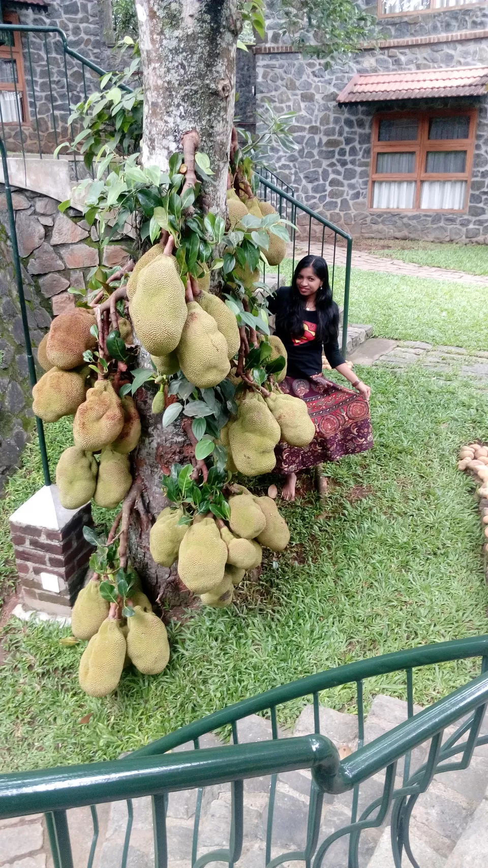 Photo of Wildernest, Lake Road, Thekkady, Kumily, Kerala, India by Sonali Panagale
