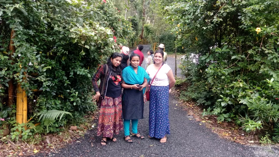 Photo of Periyar Spice Garden, Adimali, Kerala, India by Sonali Panagale