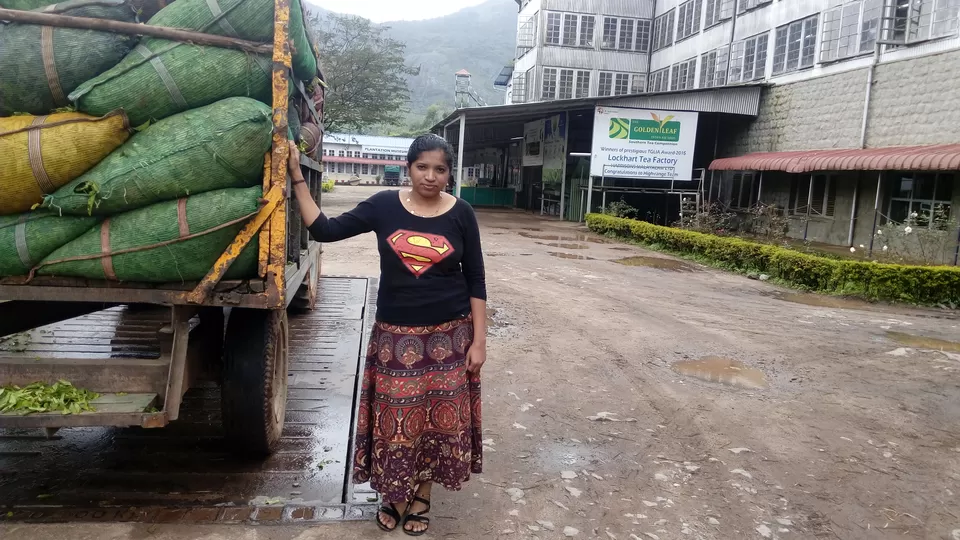 Photo of Munnar Tea Trail Tour, Lockhart Tea Factory Road, Devikulam, Kerala, India by Sonali Panagale
