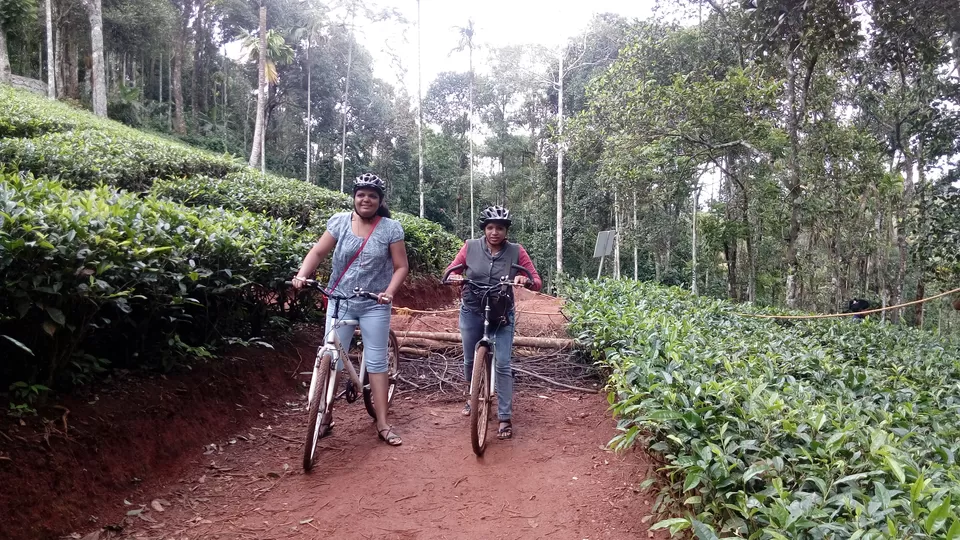 Photo of Dream Land Fun and Adventure, PO, Anachal, Chithirapuram, Kerala, India by Sonali Panagale