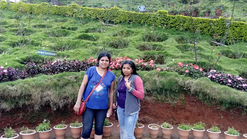 Photo of Munnar Rose Garden, Aluva - Munnar Road, Rose Nagar, Mattupetty, Munnar, Kerala, India by Sonali Panagale