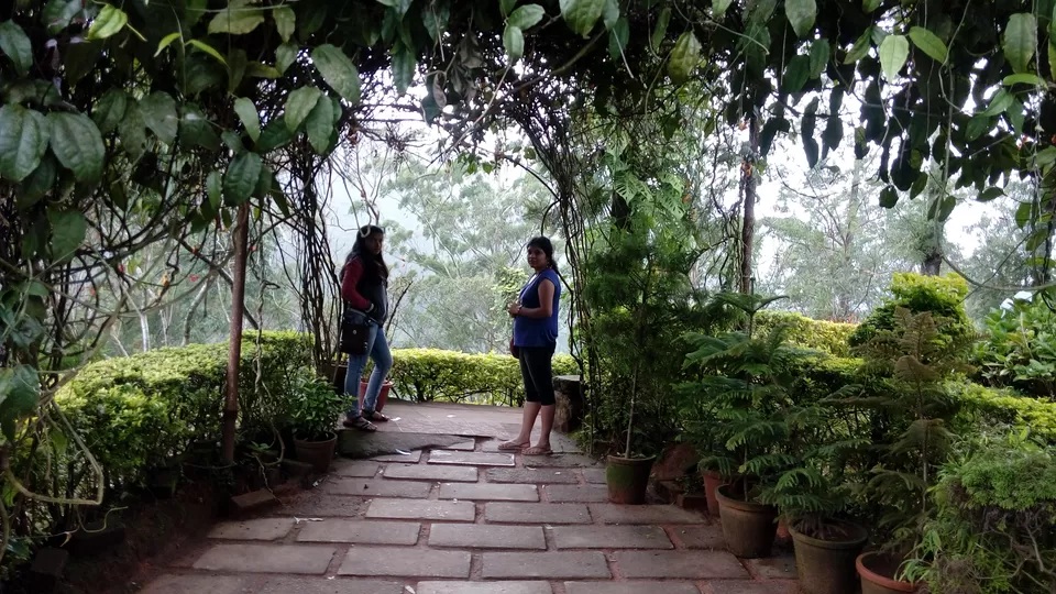 Photo of Munnar Rose Garden, Aluva - Munnar Road, Rose Nagar, Mattupetty, Munnar, Kerala, India by Sonali Panagale